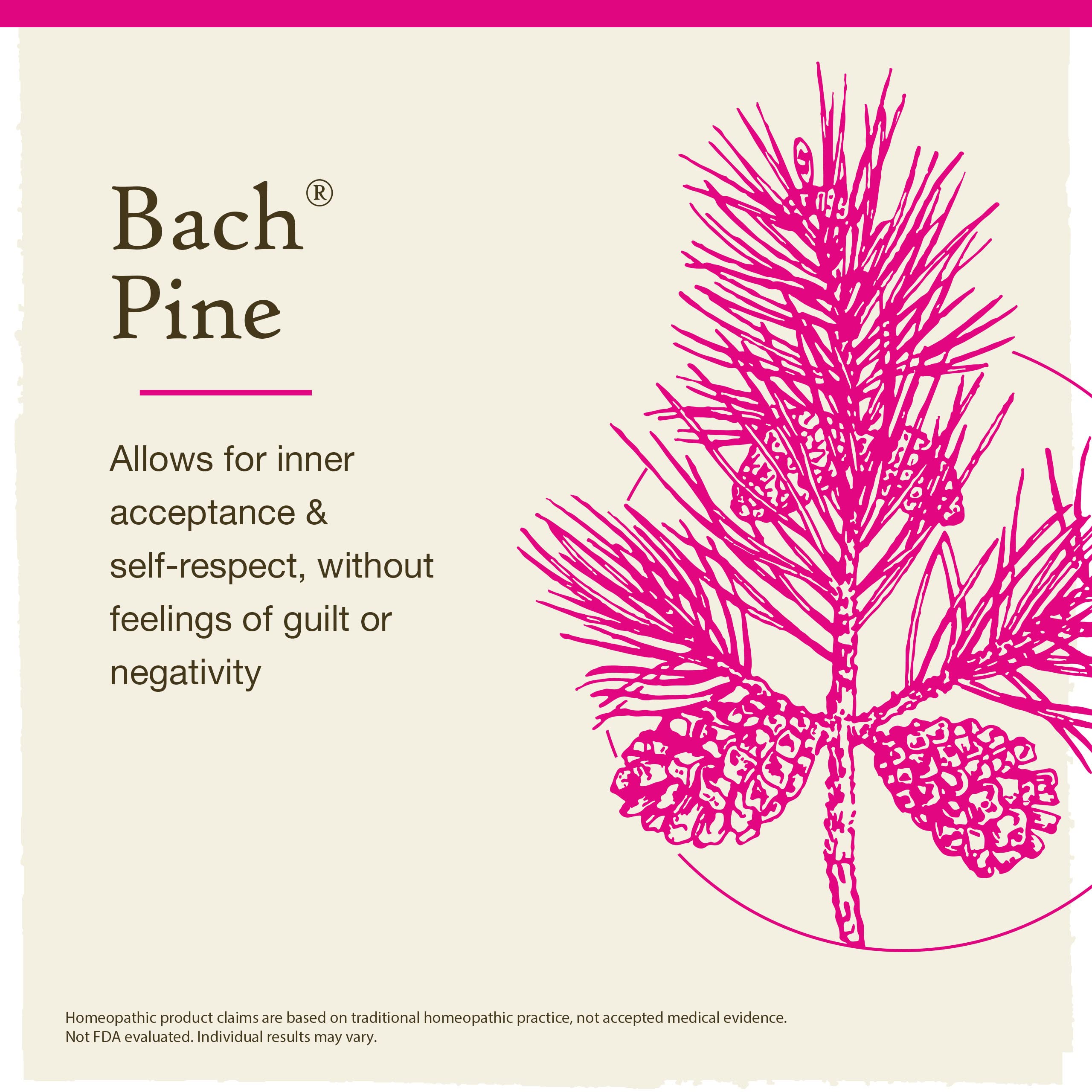 Pine Bach: rituel quotidien apportant douceur face au blâme.