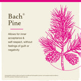 Pine Bach: rituel quotidien apportant douceur face au blâme.