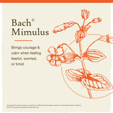 Bach Mimulus peut soutenir l'équilibre émotionnel face aux défis.