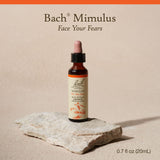 Bach Mimulus: gouttes à usage quotidien pour l'équilibre émotionnel.