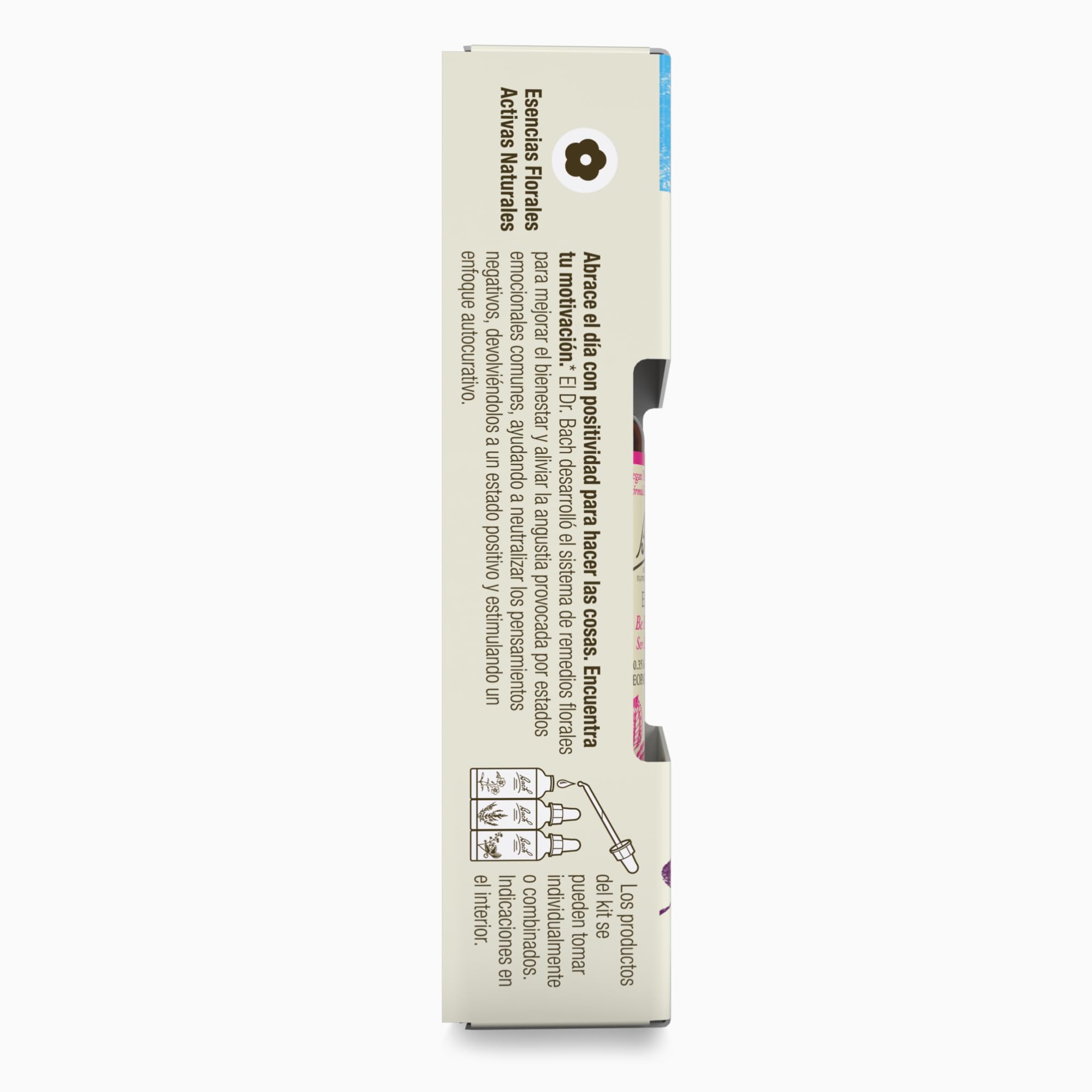 Bach Vervain remède: bouteille Vervain pour calme et tolérance.