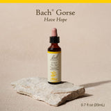 Gouttes Ajonc Bach sous la langue, utilisation rapide et discrète.