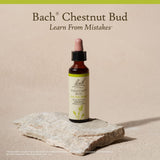 Bach Remèdes fleurs de Bach originaux – Bourgeon de marronnier, héritage 1935 et méthodes originales.