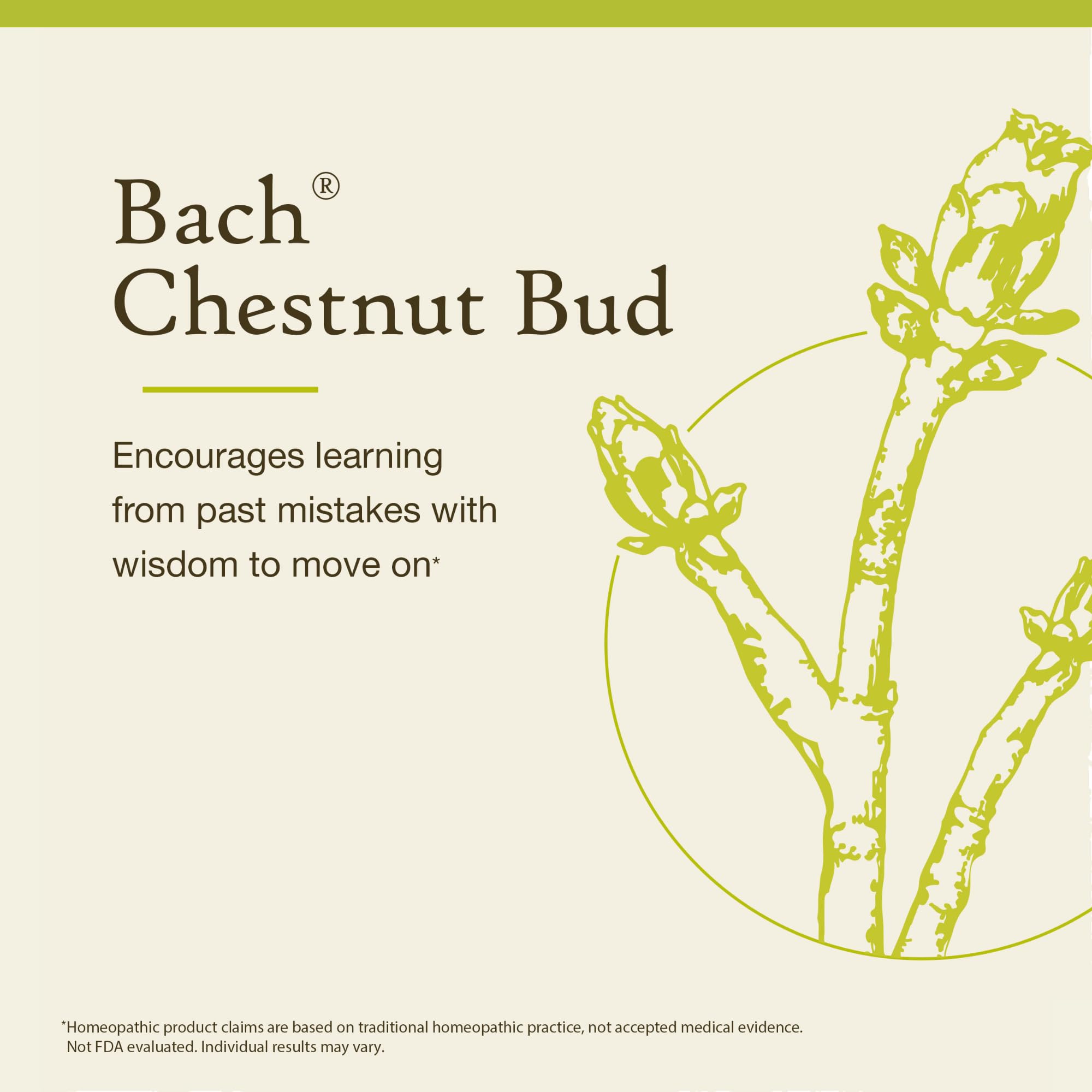 Bach Remèdes fleurs de Bach originaux – Bourgeon de marronnier, prise quotidienne, soutien émotionnel personnel.