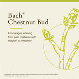Bach Remèdes fleurs de Bach originaux – Bourgeon de marronnier, prise quotidienne, soutien émotionnel personnel.