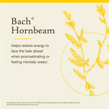 Boîte Hornbeam Bach Remèdes de Fleurs et sa présentation naturelle