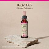 Bach Oak utilisation simple: 2 gouttes ou pipette selon le jour, pour l'equilibre emotionnel