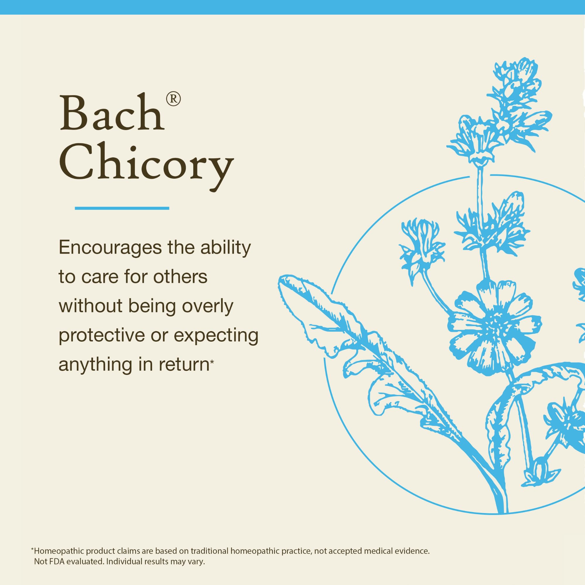 Bach Fleurs Chicorée, gouttes à déposer sous la langue pour un usage rapide.