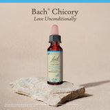 Bach Fleurs Chicorée, utilisation quotidienne possible pour apaiser les tensions émotionnelles.