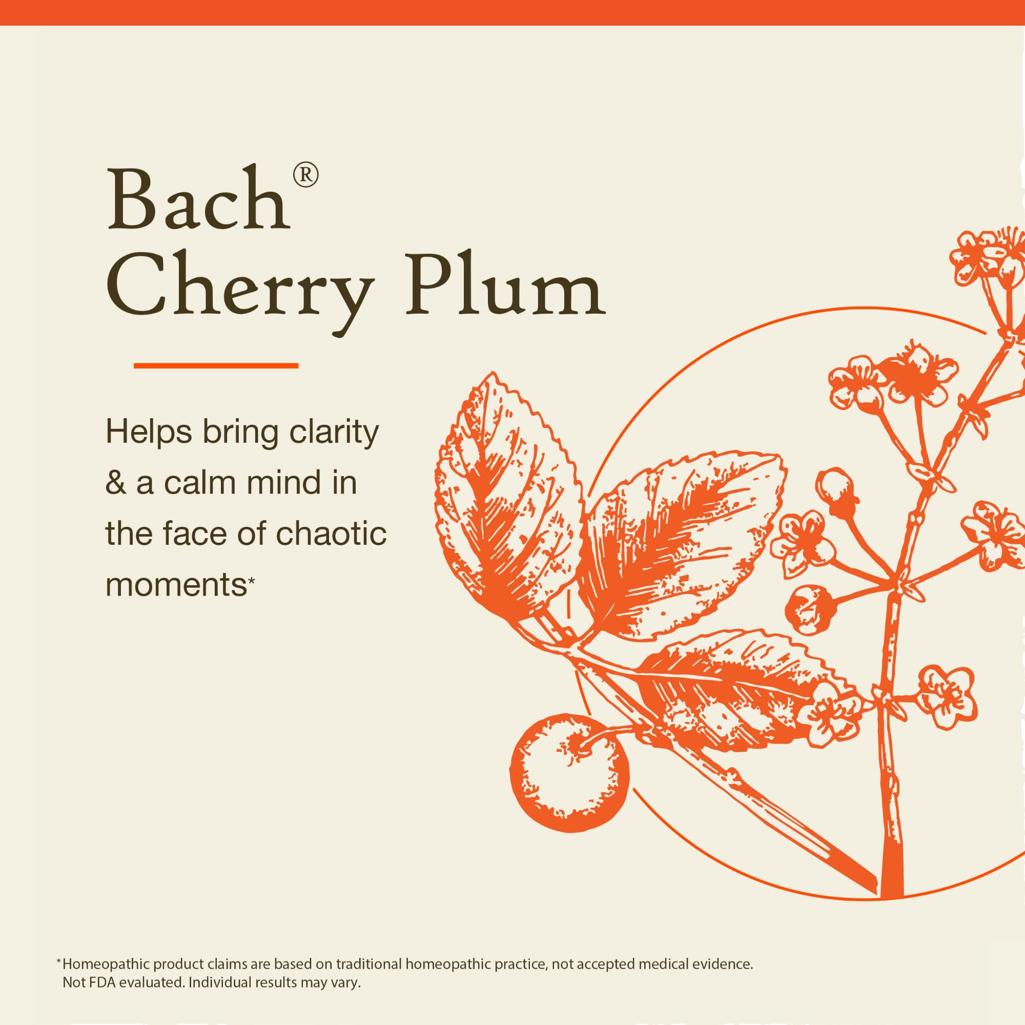 Boîte des remèdes floraux Bach Originales — présentation pratique