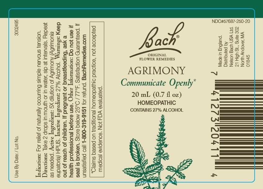 Bach Remèdes Fleurs Originales Centauree – goutte pour affirmation de soi.