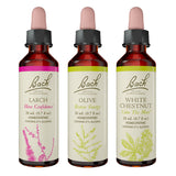 Trio Meleze Olive Chataigne blanche de Bach pour un équilibre émotionnel potentiel.