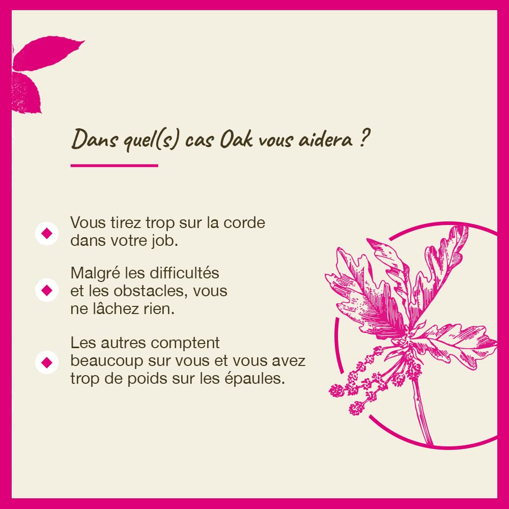 Bach Remèdes Fleurs Originales Chêne – soutien naturel pour rester fort et attentif à ses limites.