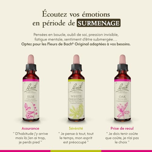 Bach Remèdes Fleurs Originales Chêne – gouttes faciles à prendre au quotidien.