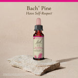 Décor naturel avec Pin, accessoire zen pour routine émotionnelle.
