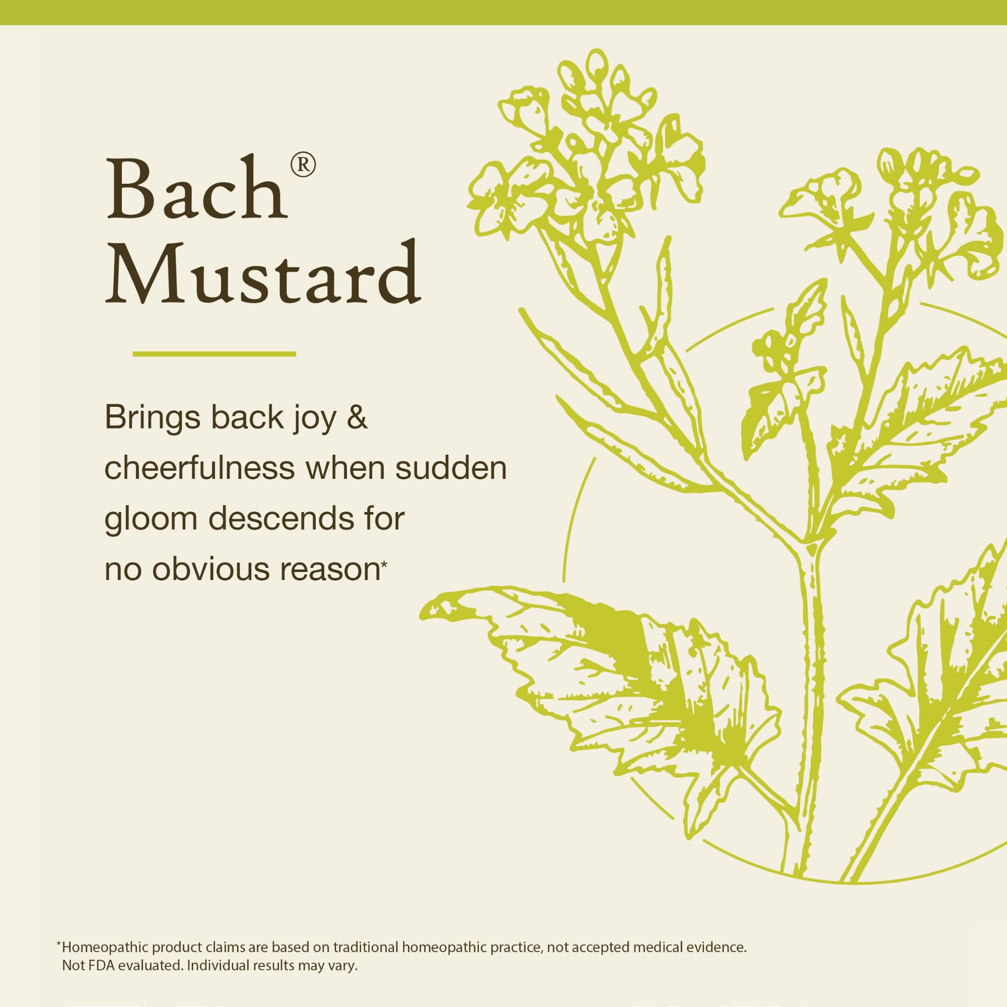 Personnalisation routine émotionnelle – Bach Moustarde, deux gouttes ou dose complète selon le moment.