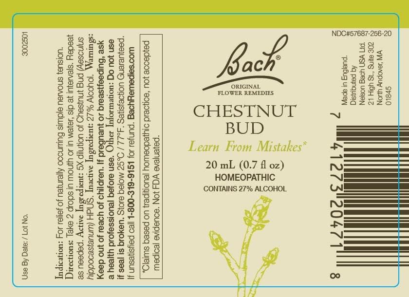 Bach remèdes floraux noisetier 20 ml, facilite l’adaptation au changement et stabilité.