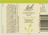 Bach remèdes floraux noisetier 20 ml, facilite l’adaptation au changement et stabilité.