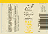 Ajonc Bach Remèdes Floraux 20 ml, usage potentiel pour garder l’espoir.
