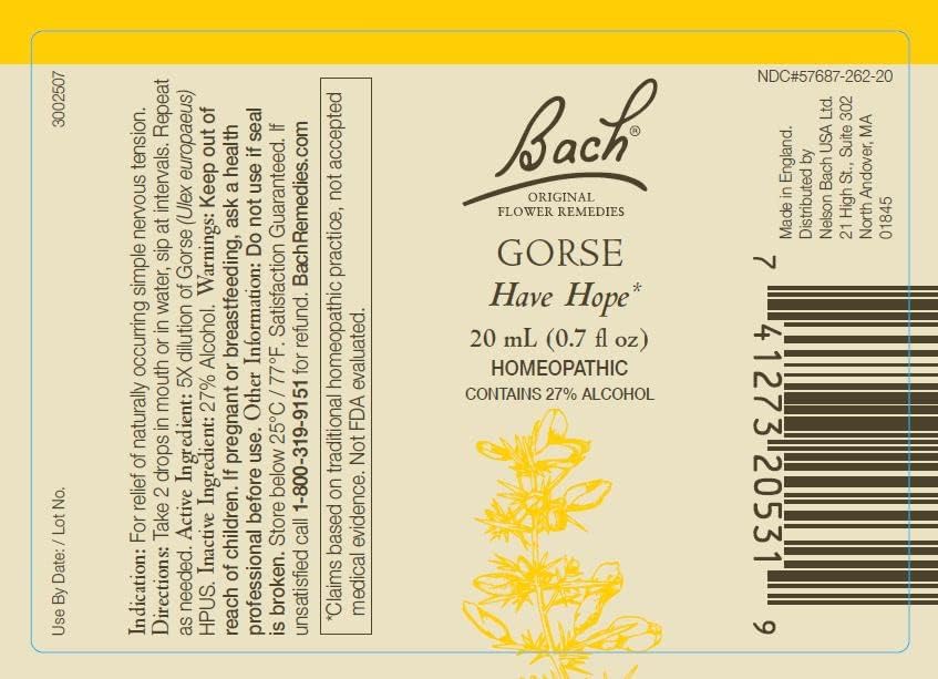 Gentiane Bach Remèdes Floraux 20 ml, soutien à l’optimisme et la confiance.