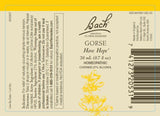 Gentiane Bach Remèdes Floraux 20 ml, soutien à l’optimisme et la confiance.