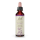 Bach Remèdes Floraux Impatiens – bouteille pratique pour favoriser la patience au quotidien.