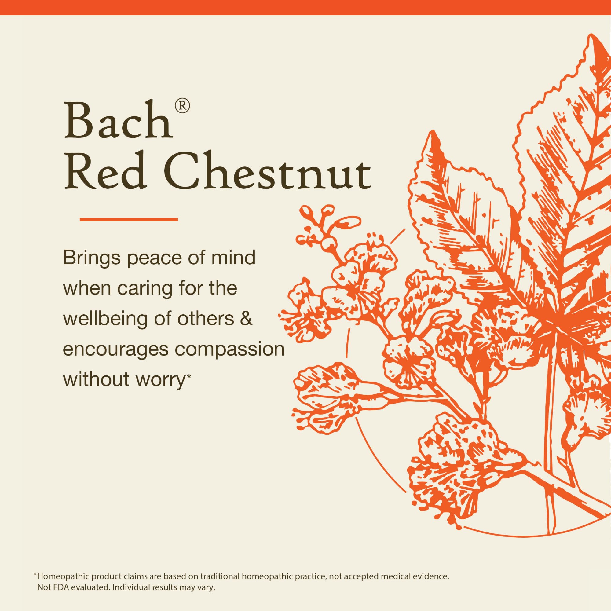 Bach Remèdes floraux Red Chestnut – étiquette, présentation naturelle et éthique.