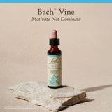 Bach Remèdes Floraux Vine flacon 20 mL pratique pour usage quotidien.