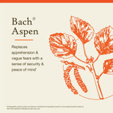 Bach Aspen: étui de transport pour une routine émotionnelle nomade.