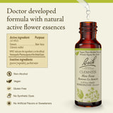 Clematis Bach: pipette 10 ml pour l’attention et l’étude