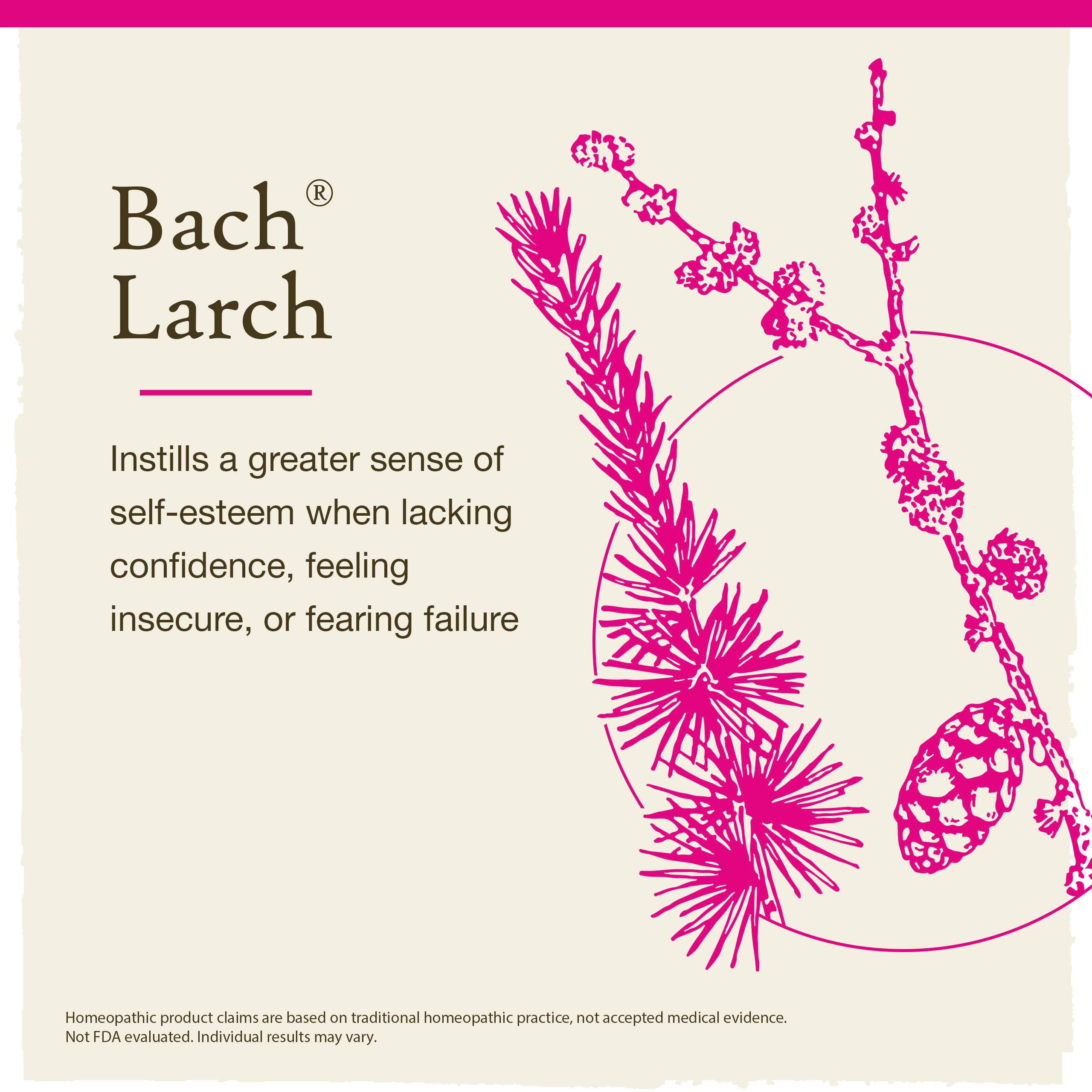 Boîte Remèdes floraux Bach Larch, emballage clair et éthique.
