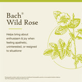 Bach Rose Sauvage – flacon et compte-gouttes faciles à doser.