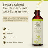 Rose Sauvage Bach Remedies, gouttes dans le flacon facilitant l'équilibre émotionnel.