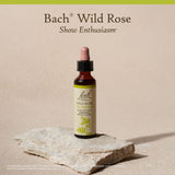 Utilisation discrète et portable de Bach Rose Sauvage pour la routine.