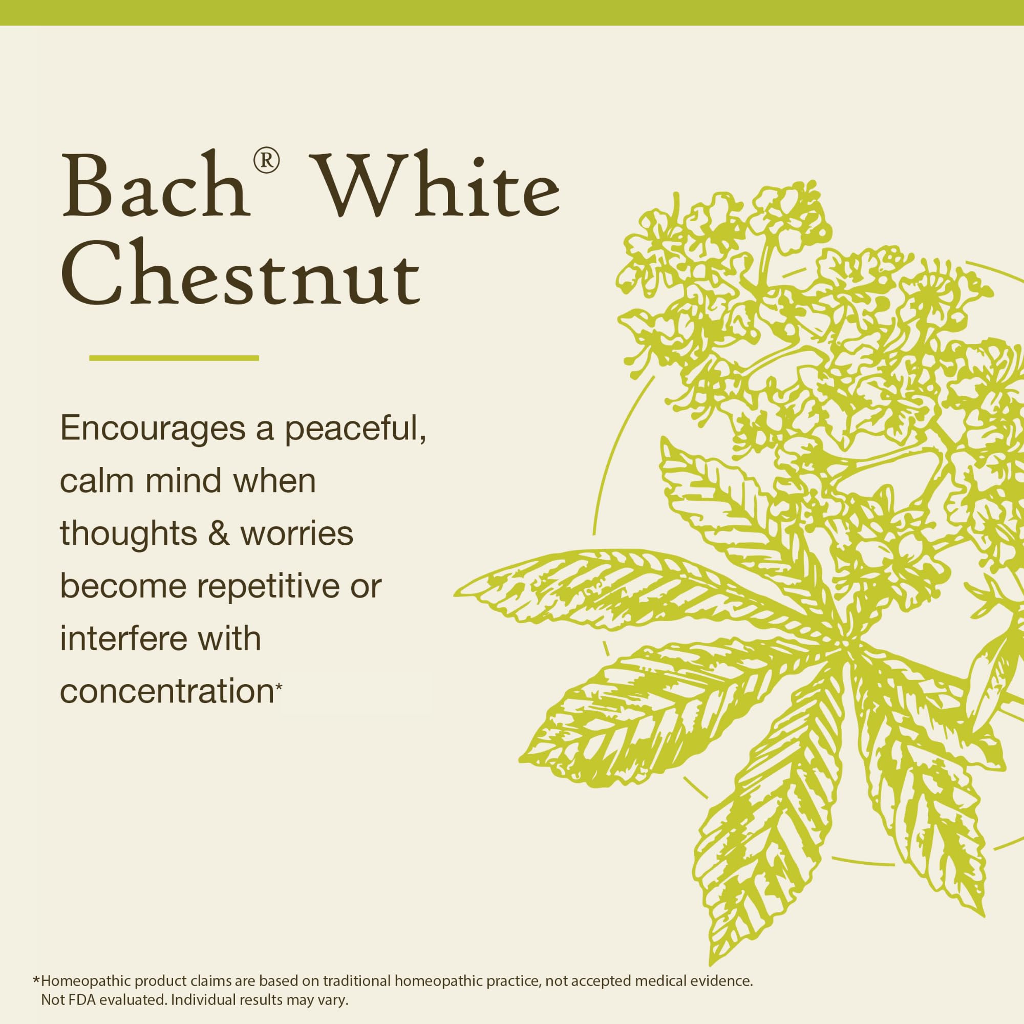 Bach Remedies White Chestnut étiquette et flacon pour équilibre émotionnel naturel.