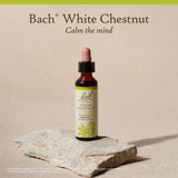Bach Remedies White Chestnut fleurs et essence naturelle pour soutien quotidien.