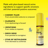 Bach RESCUE Kids Spray, dosage rapide deux pulvérisations pratiques en déplacement.