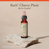 Rituel émotionnel quotidien avec Bach — soutien potentiel et pratique