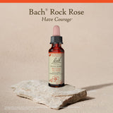 Rock Rose Bach – équilibre émotionnel potentiel lors de défis quotidiens.