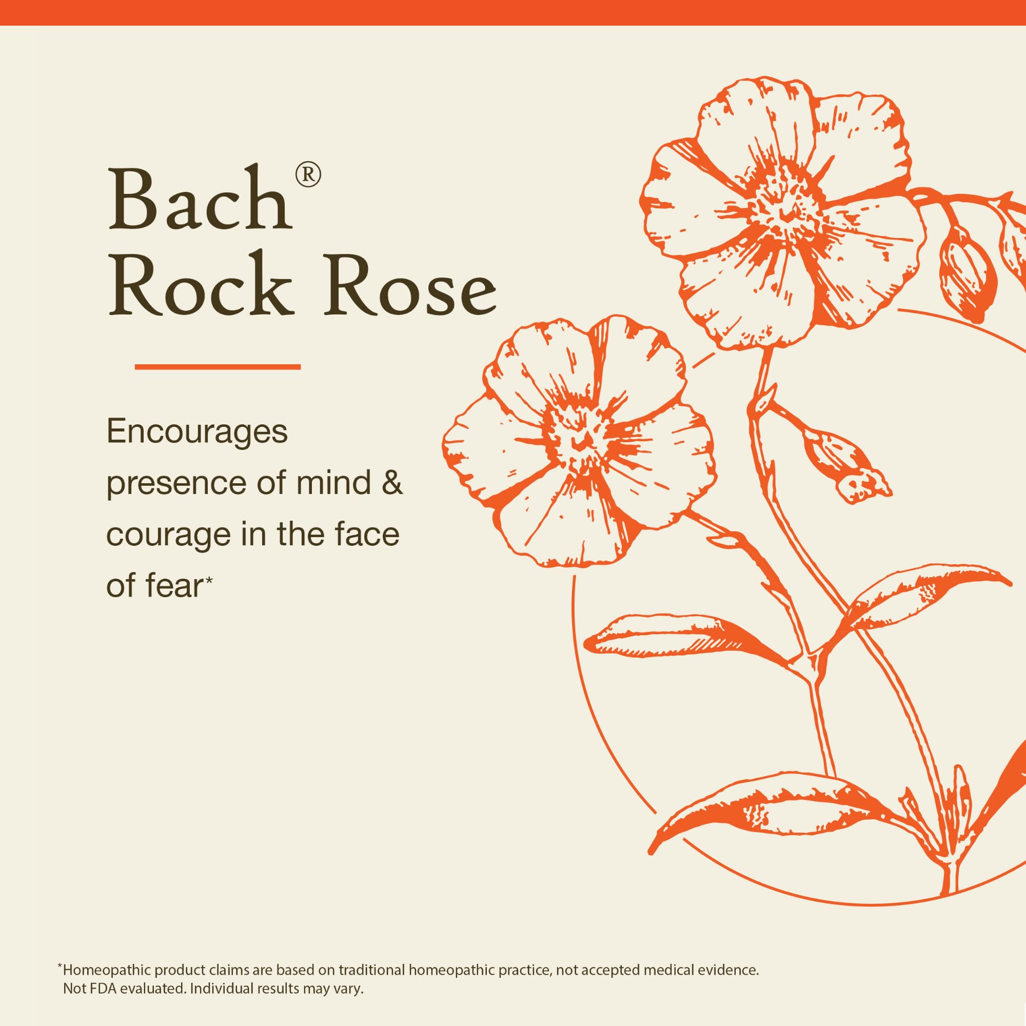 Rock Rose Bach, ingrédients naturels, sans alcool, pour un rituel émotionnel doux.