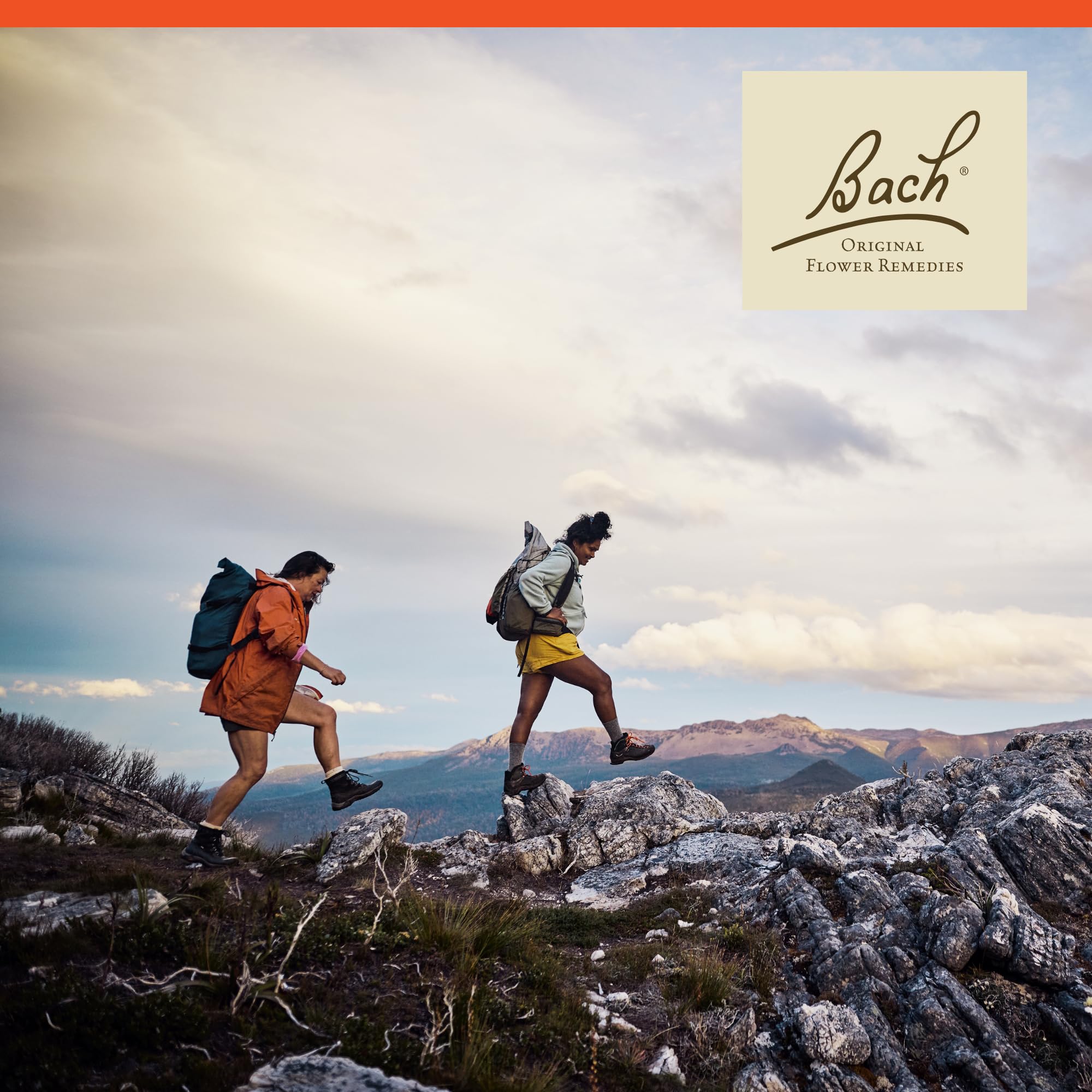 Rock Rose Bach – utilisation quotidienne et facile dans une routine bien-être.