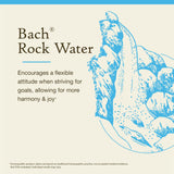 Bach Rock Water – gouttes 10 ml, usage sous la langue ou dans une boisson.