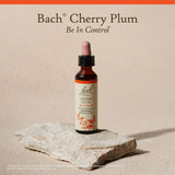 Bach – flacon pratique, personnalisation de la routine émotionnelle.