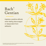 Bach Gentiane flacon goutte pour un rituel quotidien d’apaisement.