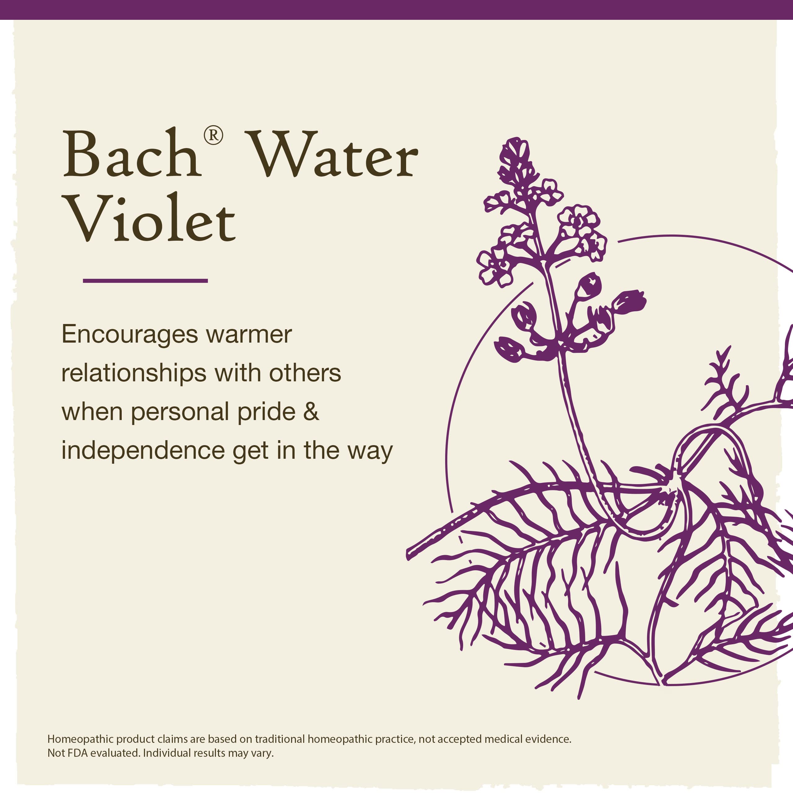 Boîte Violette d’eau Bach, accessoire pratique pour commencer.