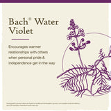 Boîte Violette d’eau Bach, accessoire pratique pour commencer.
