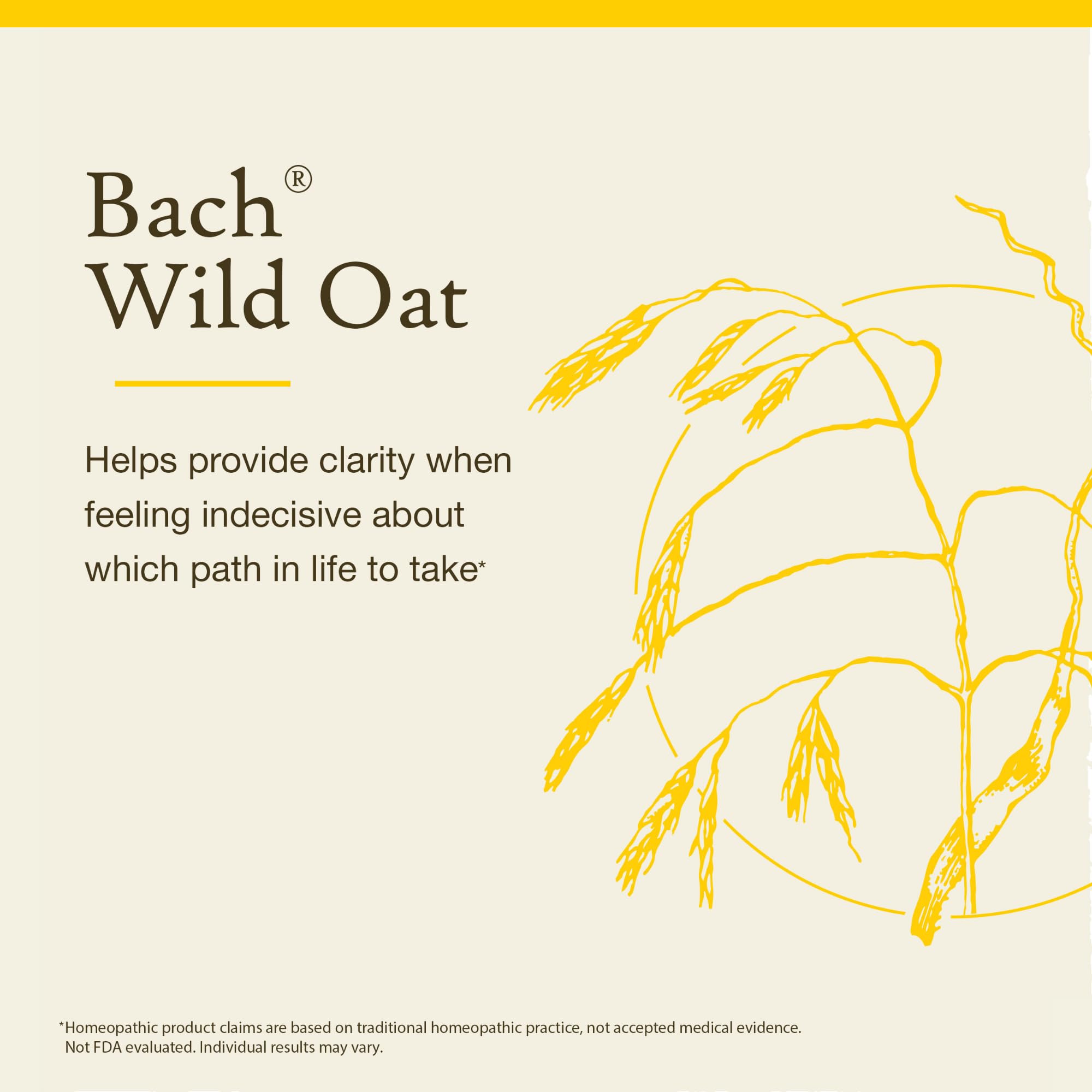 Remède fleurs Bach Wild Oat, usage quotidien, favoriser orientation personnelle plus nette.