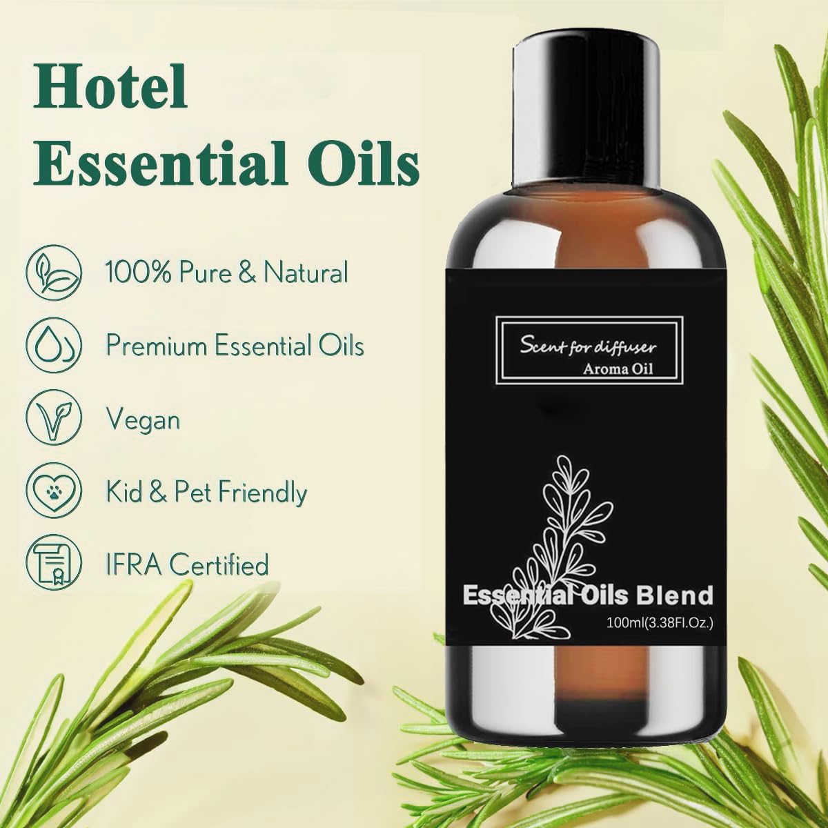 Baieshiji conditionnement coffret, emballage soigné prêt à offrir