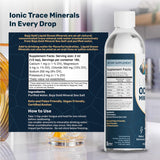 Ajoutez Baja Gold à l'eau quotidienne pour un goût riche.