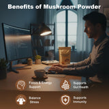 Balincer Poudre champignons mélange: mélange varié de dix champignons.